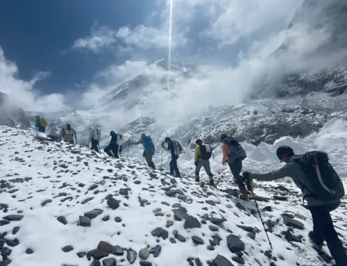 Chased by a Himalayan Snow Cock!